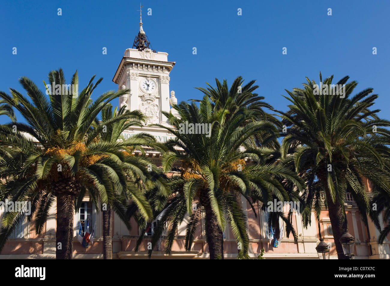 Palmen vor dem Rathaus Ort Marechal Foch, Ajaccio, Korsika, Frankreich Stockfoto