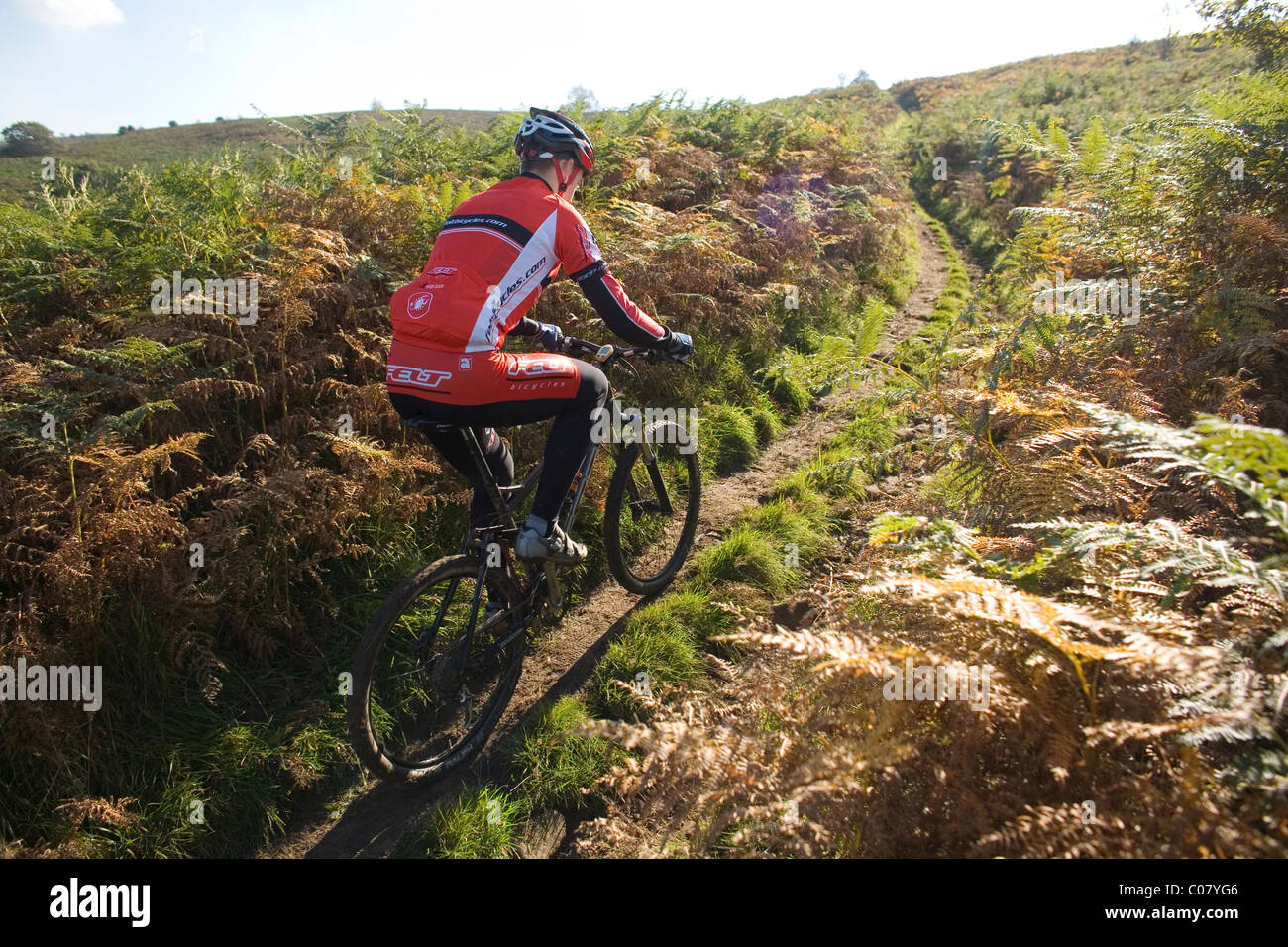 Mountainbiker reitet einen Schmutz Pfad im Vereinigten Königreich Stockfoto