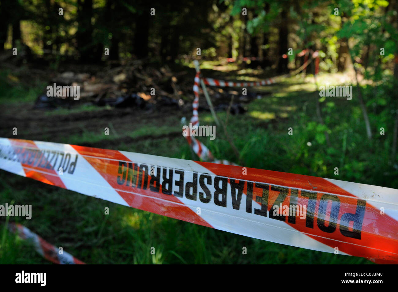 Maria Boegerl Entführung Fall, Ort, wo ein Körper in einem Wald in der Nähe von Niesitz, Heidenheim Bezirk gefunden wurde Stockfoto