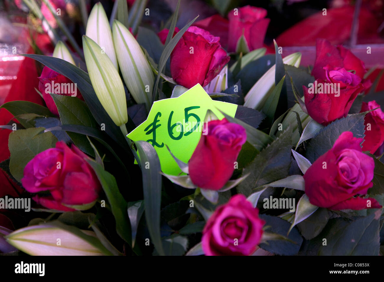 Teure Rosen zum Valentinstag in London Blumengeschäft Stockfoto