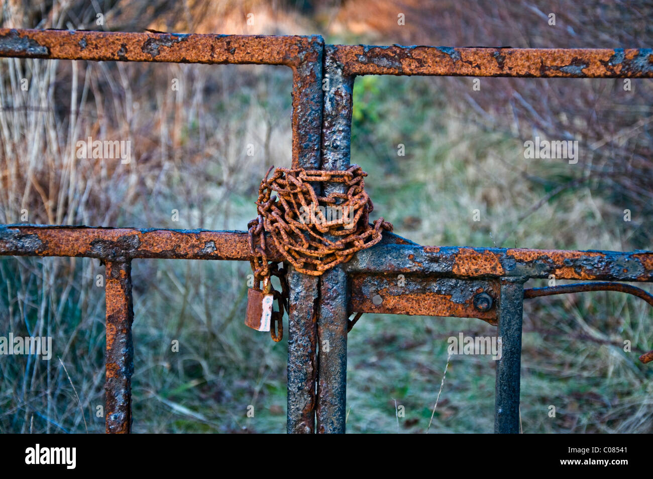 Rostige Kette verschlossenen Tor Stockfoto