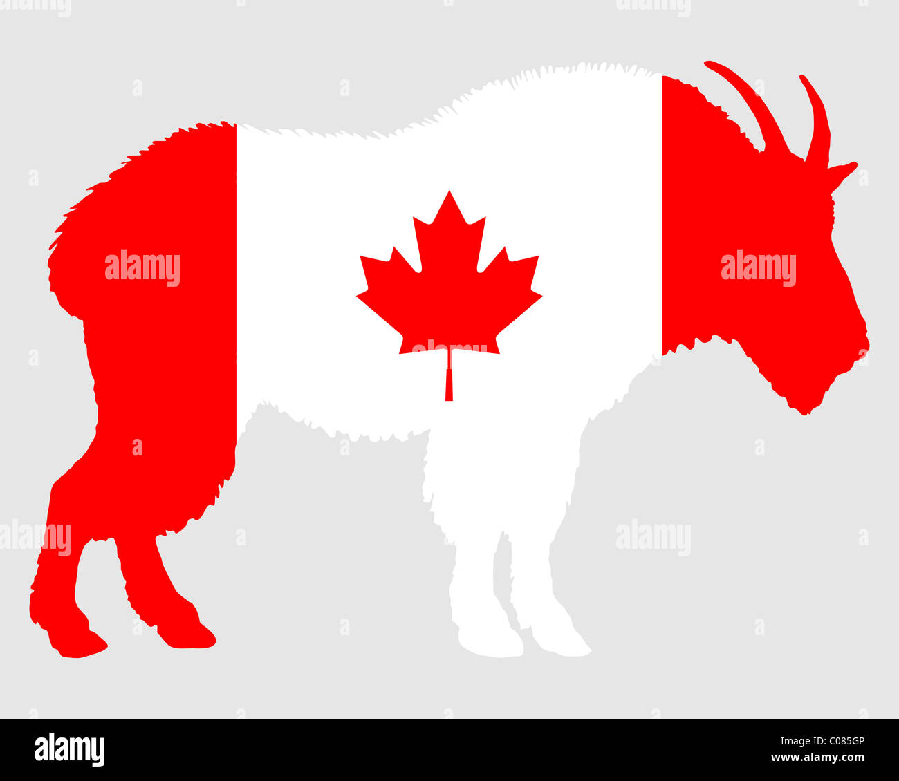 Bergziege-Kanada Stockfoto