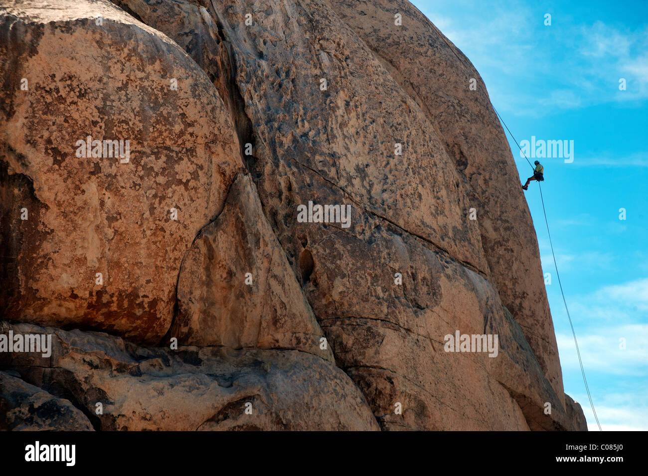 Ein Kletterer Abseilen auf einem Felsen im Joshua Tree Nationalpark, Kalifornien, USA. Stockfoto