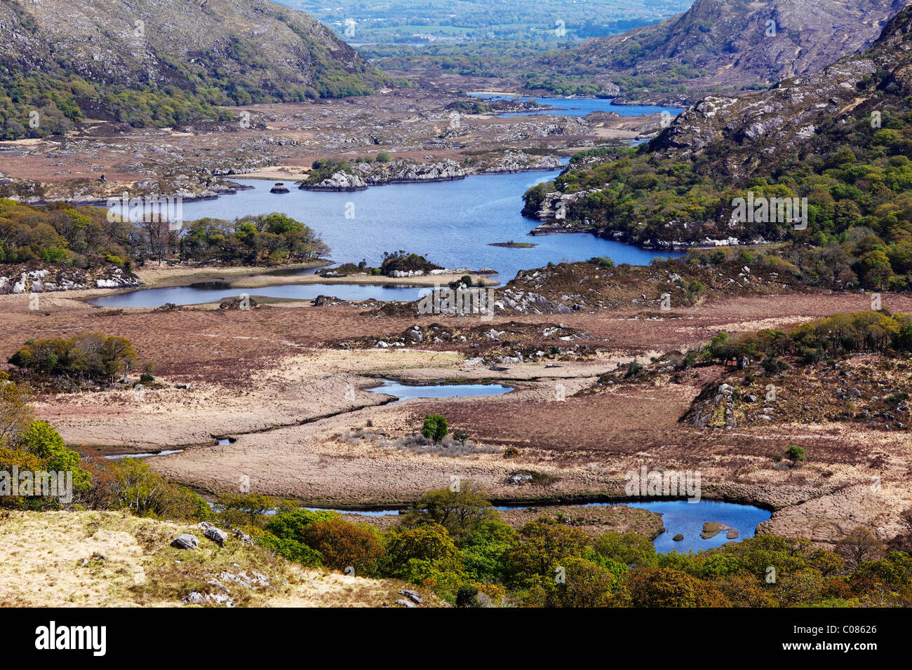 Ladies View, Upper Lake, Killarney Nationalpark, County Kerry, Irland, britische Inseln, Europa Stockfoto