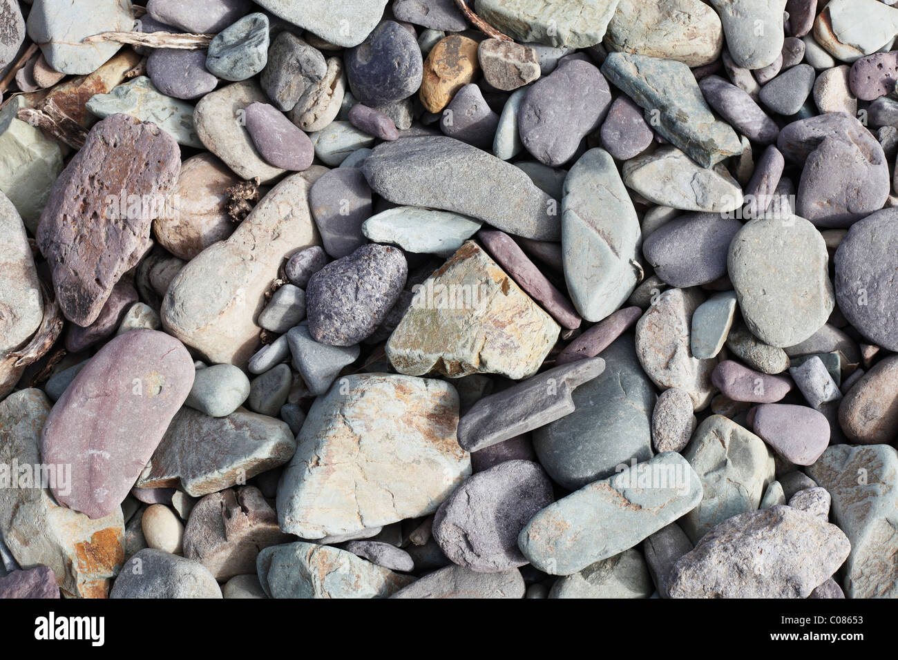 Kieselsteine am Strand, Halbinsel Dingle, County Kerry, Irland, britische Inseln, Europa Stockfoto