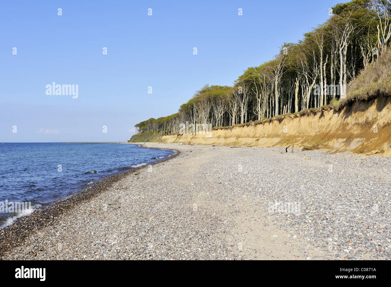 Kies-Strand in der Nähe der benachbarten Nienhaeger Holz Nature Reserve, auch genannt die "Spook Wald", Landkreis Bad Doberan Stockfoto
