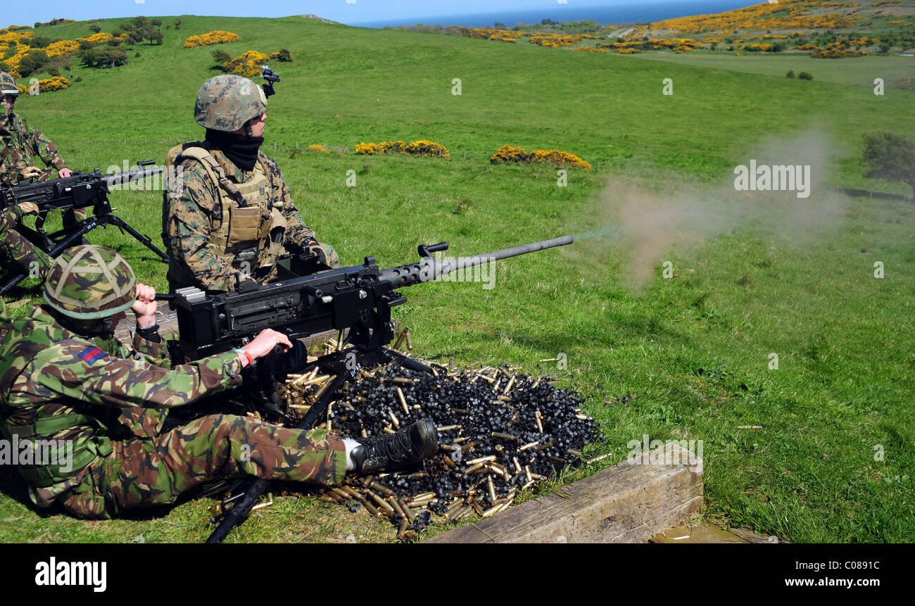 GEMEINSAME Krieger 09-1 ist eine große Übung, an denen alle drei UK-Dienste und 12 NATO und verbündeten Nationen eingeladen. Stockfoto