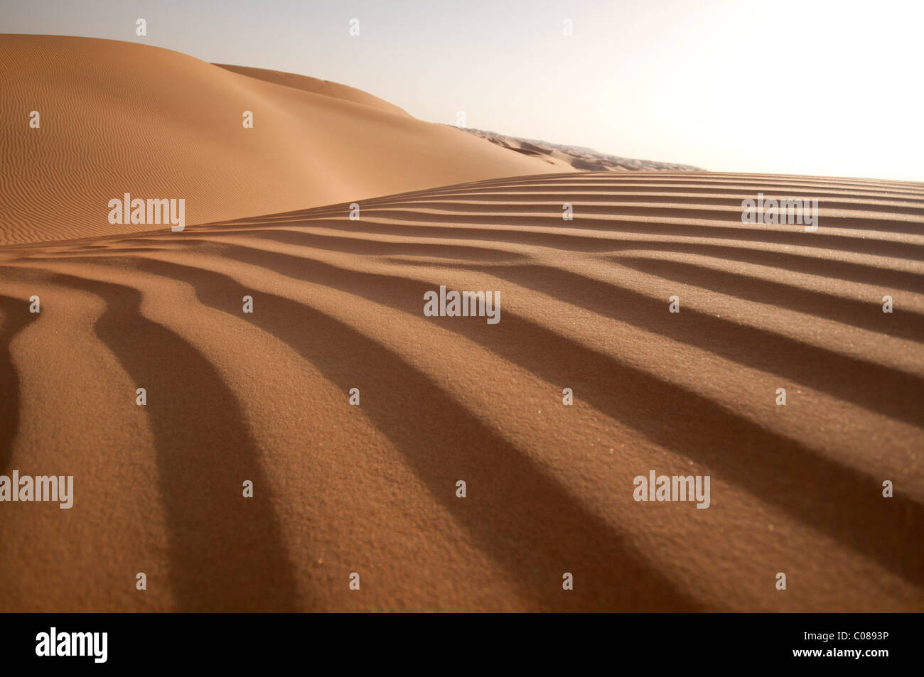 Perfekte Sanddüne Bildung Stockfoto