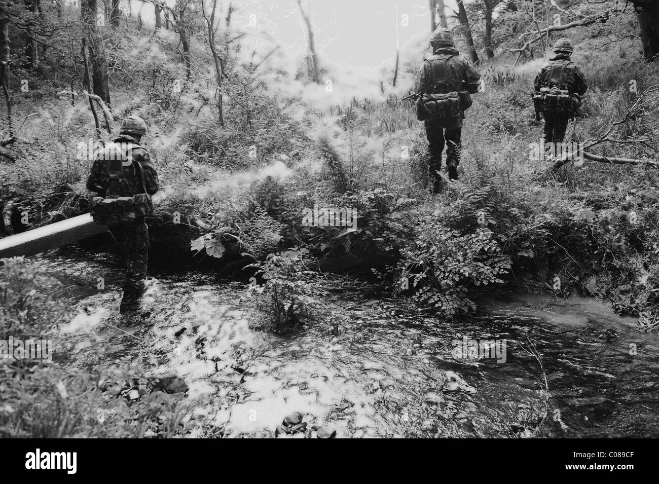 GEMEINSAME Krieger 09-1 ist eine große Übung, an denen alle drei UK-Dienste und 12 NATO und verbündeten Nationen eingeladen. Stockfoto