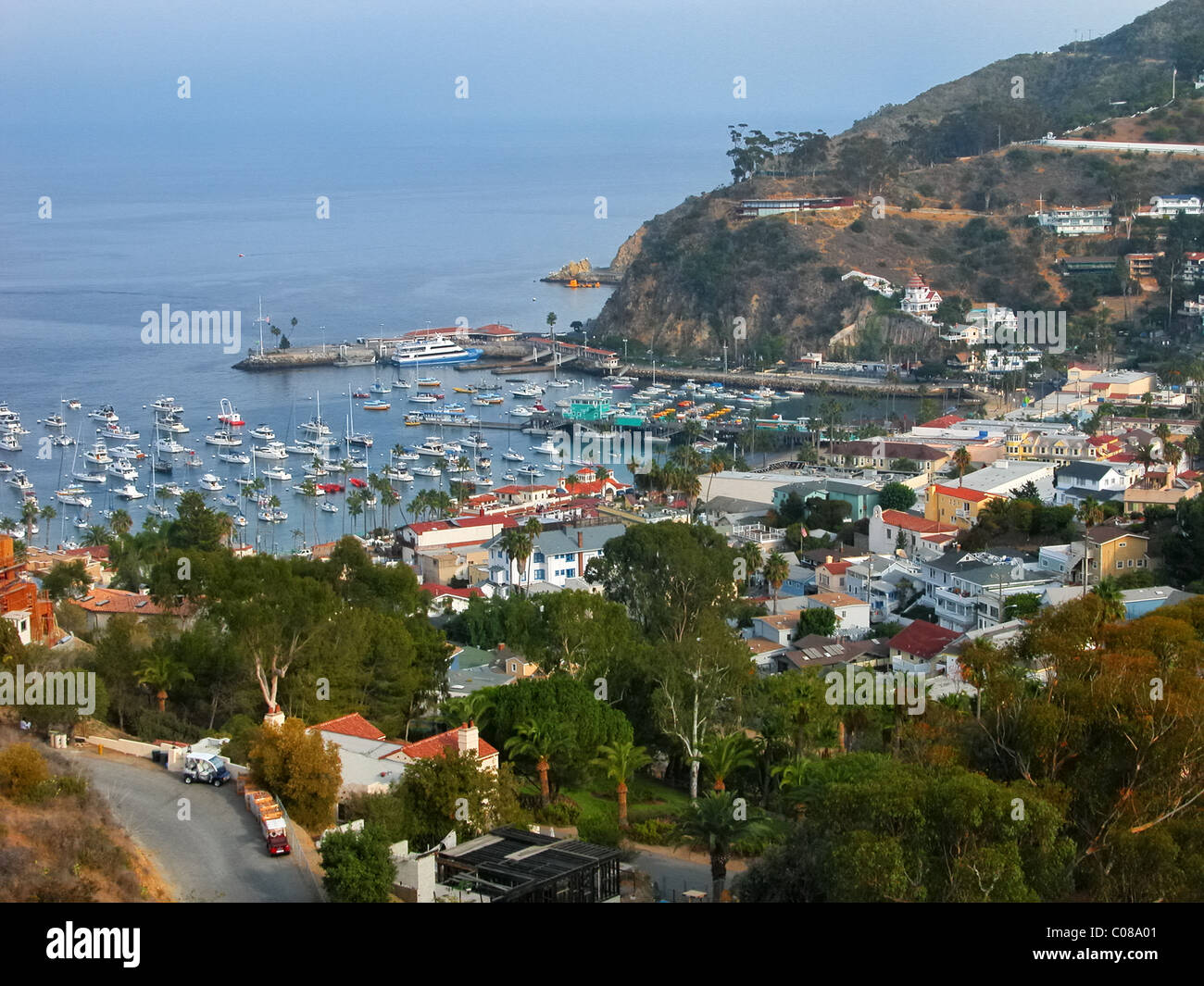 Mit Blick auf die Bucht, ist der natürliche Hafen und Stadt von Avalon, Santa Catalina Island, Kalifornien, USA. Stockfoto