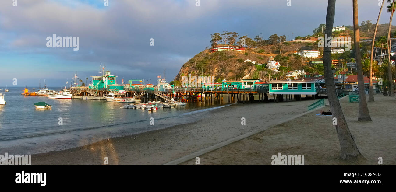 Die Bucht von Avalon, Santa Catalina Island, Kalifornien, USA. Stockfoto