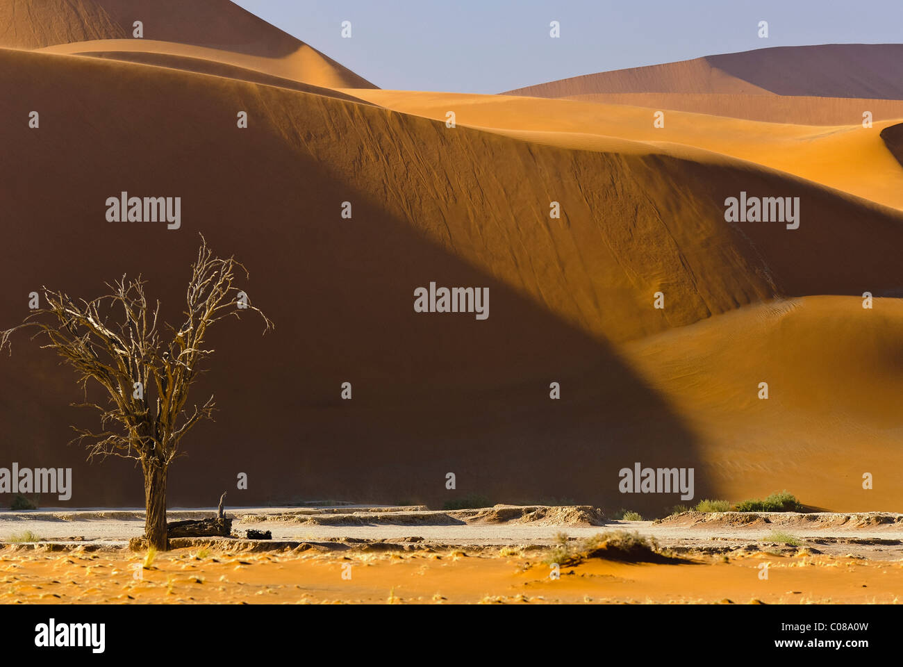 Dünen-Namib-Naukluft-Nationalpark, Namibia, Afrika Stockfoto