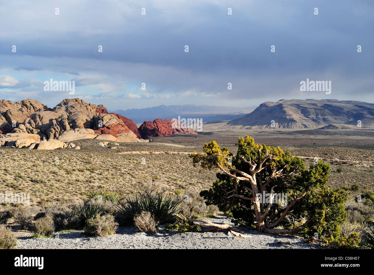 Höchster Punkt übersehen, Red Rock Canyon, Las Vegas, Nv 110130 39325 Stockfoto