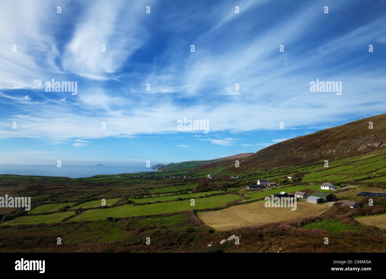 Felder und Bauernhöfe Ballinskelligs Küste, Ring of Kerry, County Kerry, Irland Stockfoto