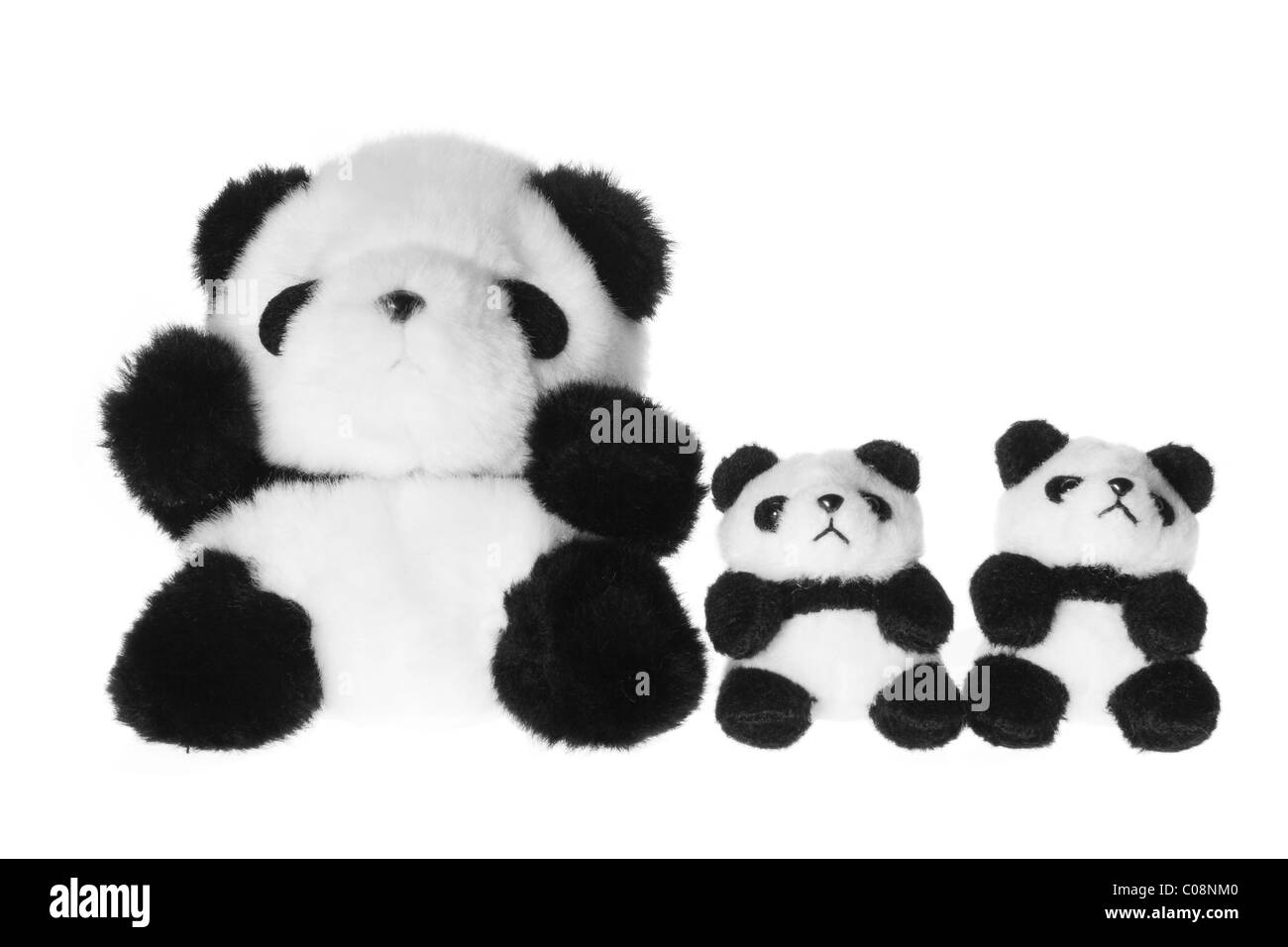 Spielzeug-Pandas Stockfoto