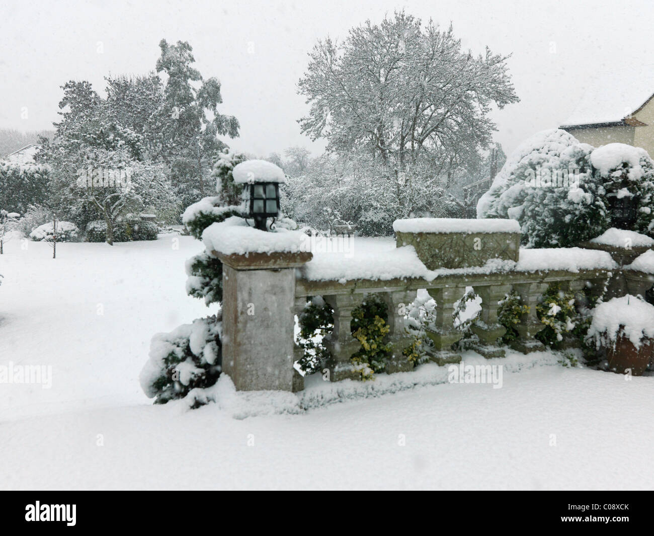 Bäume im schweren Schnee fallen im Garten England Stockfoto