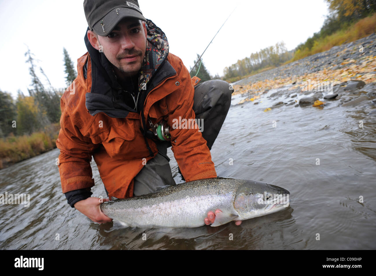 Fischer kniend im Wasser zu zeigen, eine wilde fing Steelhead in Deep Creek, Kenai-Halbinsel, Yunan Alaska, Herbst Stockfoto