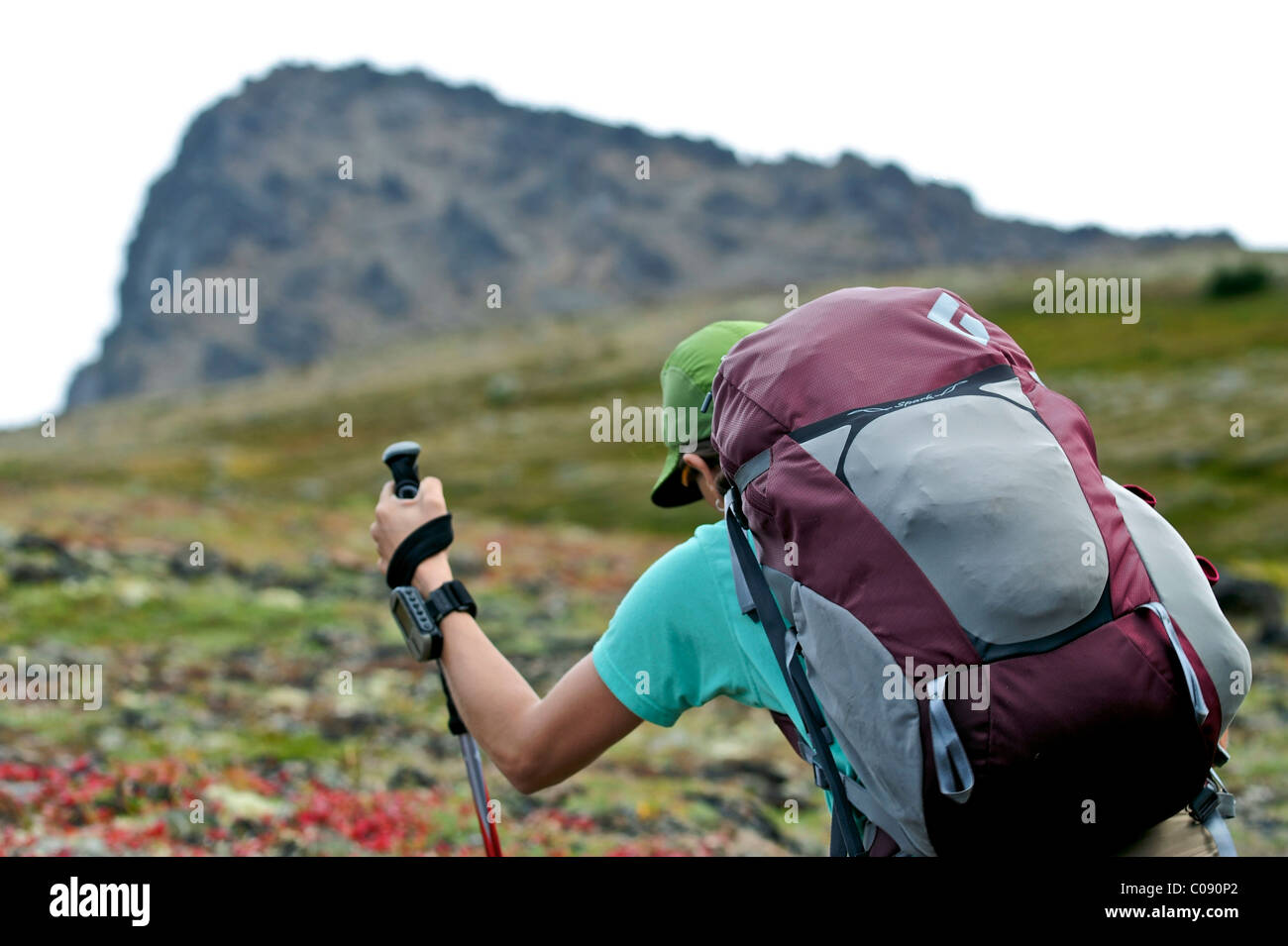 Weibliche Backpacker wandern nach Ptarmigan Pass, Chugach State Park, Yunan Alaska, Sommer Stockfoto