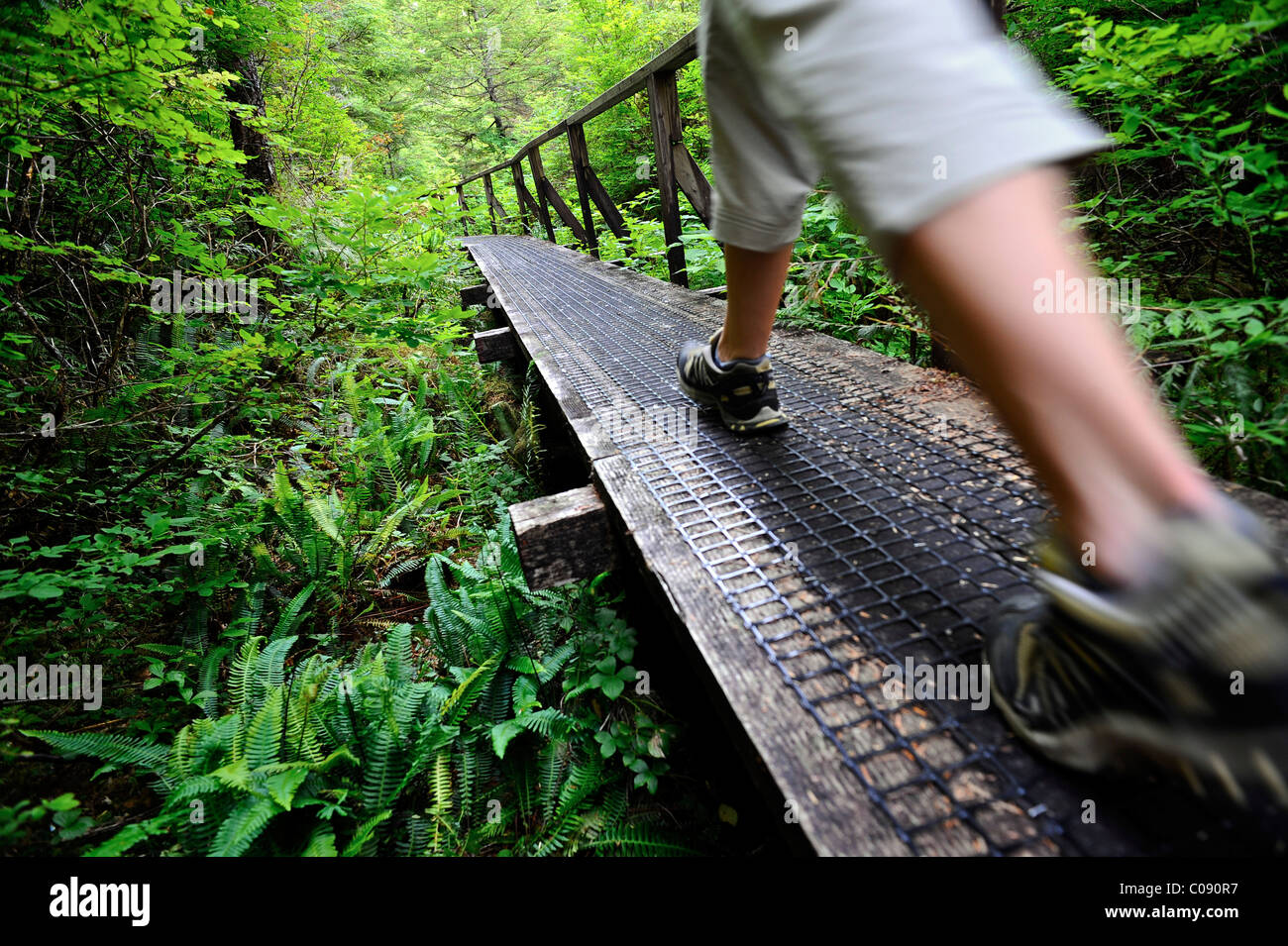 Nahaufnahme einer Frau Wandern auf der Ausdauer Lake Trail im Tongass National Forest in der Nähe von Ketchikan, südöstlichen Alaska, Sommer Stockfoto