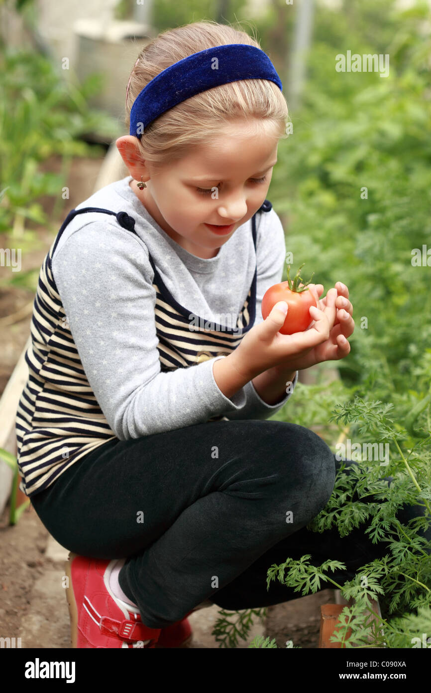 Niedliche Mädchen hält die erste Tomate aus der Ernte Stockfoto
