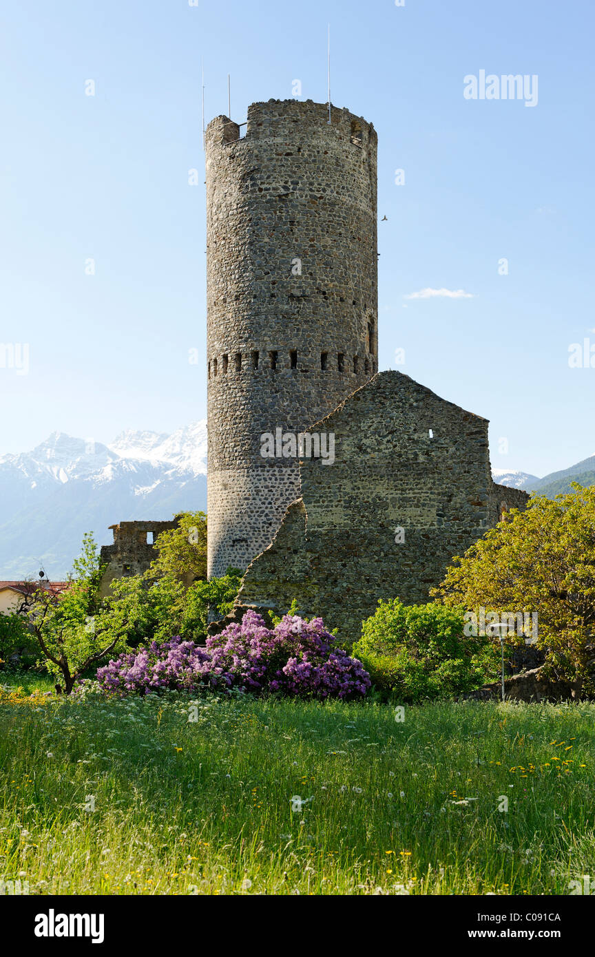 Froehlich Turm, Mals, Vinschgau, Val Venosta, Südtirol, Italien, Europa Stockfoto