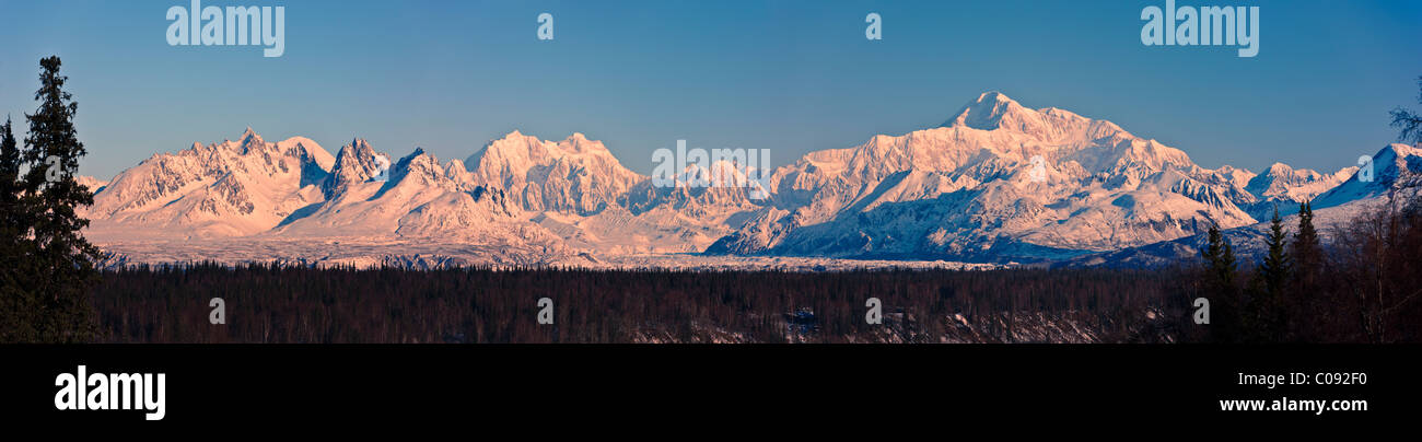 Panoramablick auf Southside Mount McKinley in der Morgendämmerung, George Parks Highway, Denali Nationalpark, Alaska Stockfoto