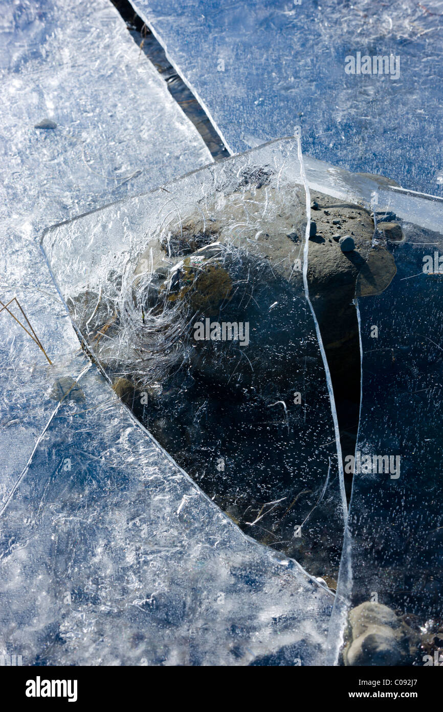 Detail der Eis-Muster in einem gefrorenen Schmelzwasser Teich verursacht durch eine plötzliche Änderung der Wasserstand, Denali Highway, Alaska hautnah Stockfoto