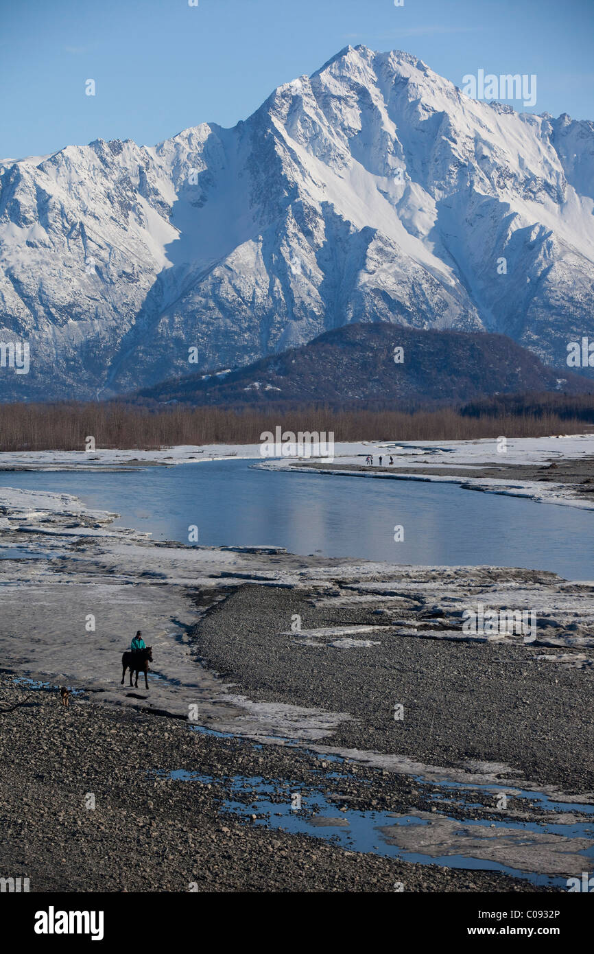 Eine Reiterin und seine Hunde Trab entlang dem eisigen Knik River in der Nähe von Palmer, Matanuska-Susitna Valley, Alaska Stockfoto