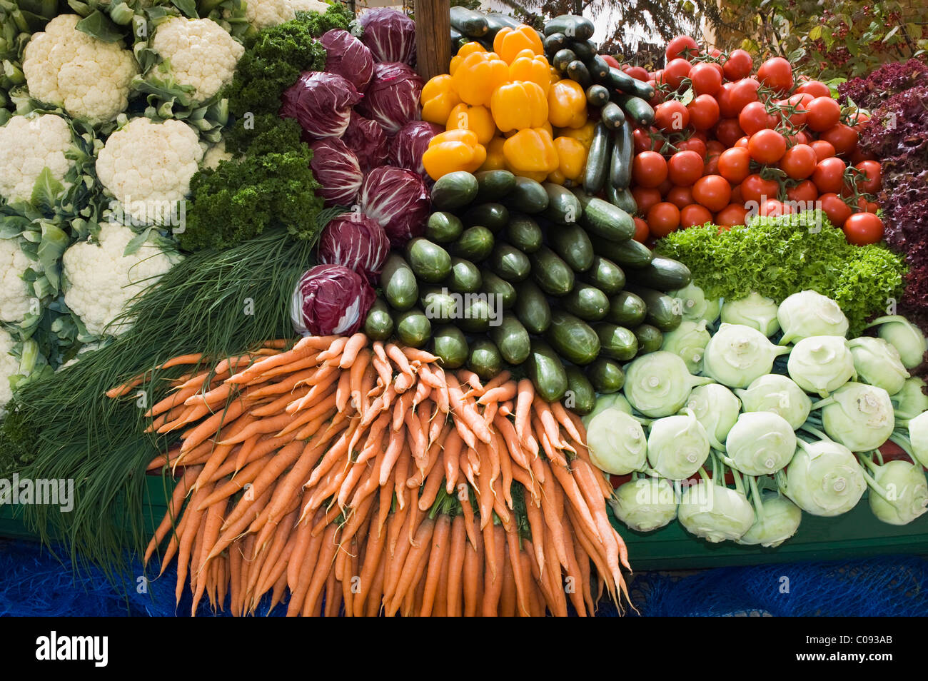 Gemüse und Kohl am Markt, Landshut, untere Bayern, Deutschland, Europa Stockfoto