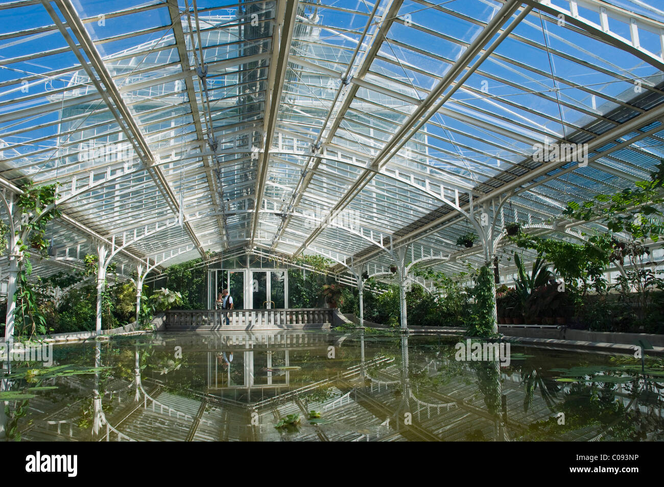 Tropenhaus, Botanischer Garten München, Bayern, Deutschland, Europa