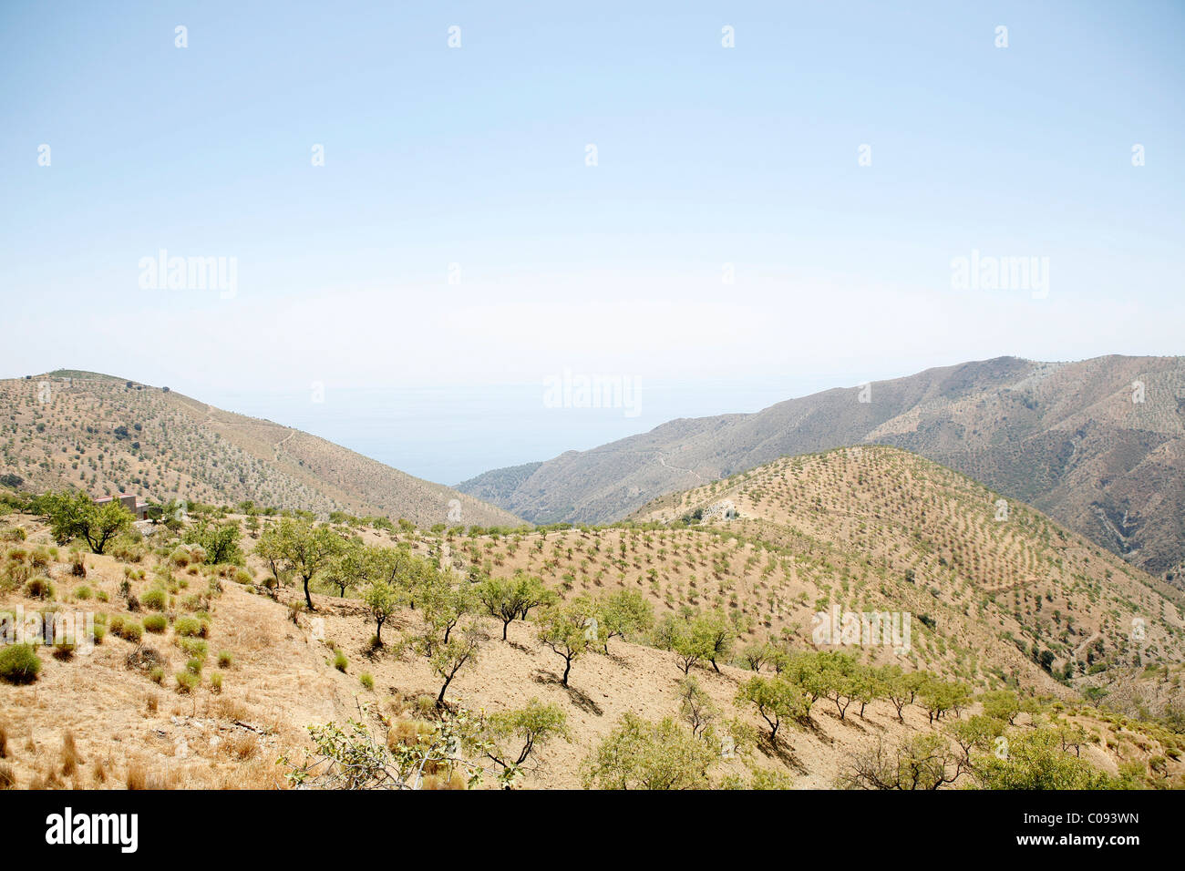 Ausläufer der Sierra Nevada, Andalusien, Südspanien, Europa Stockfoto