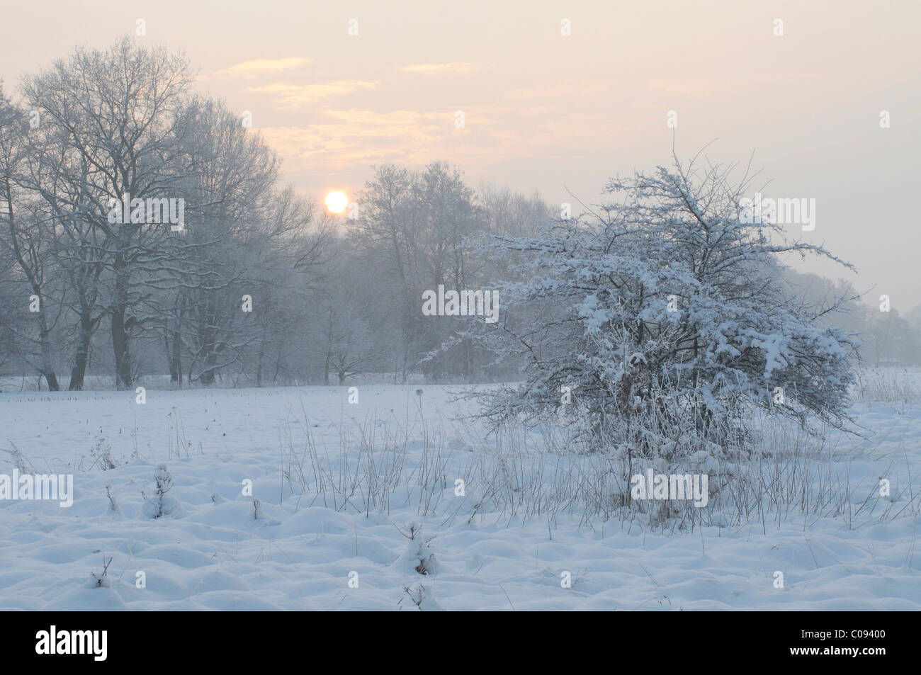 Winterlandschaft Stockfoto
