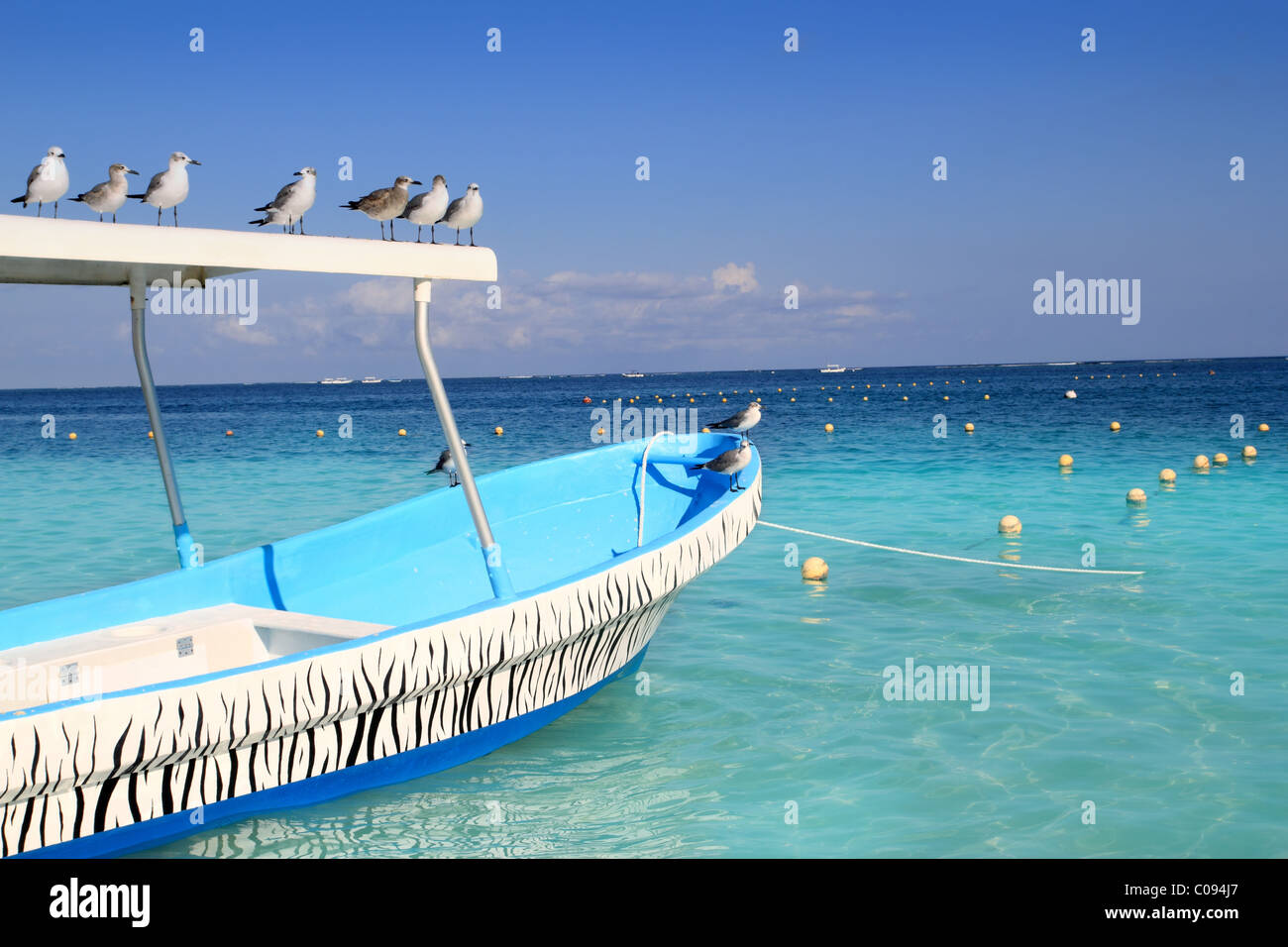 Blaues Boot Möwen Karibik im türkisfarbenen Meer Stockfoto