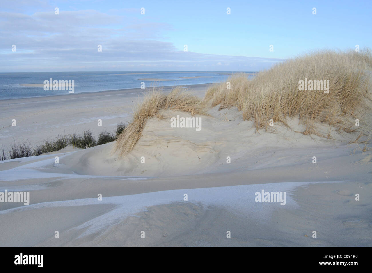 Dünen und Strand von Langeoog, Niedersachsen, Deutschland, Europa Stockfoto