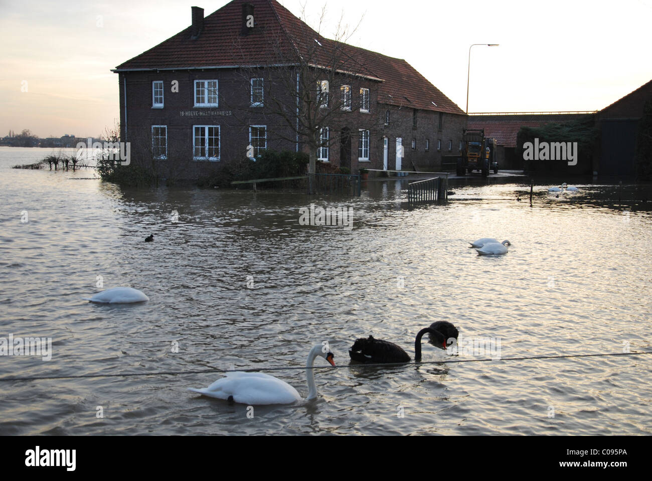 überfluteten Haus in der Nähe Fluss Maas Roermond Niederlande Stockfoto