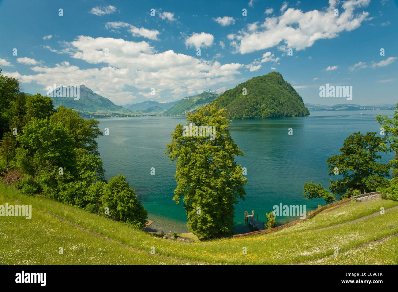 Blick über den Vierwaldstättersee auf Mt. Bürgenstock und Mt. Stanserhorn, Vitznau, Kanton Luzern, Schweiz, Europa Stockfoto