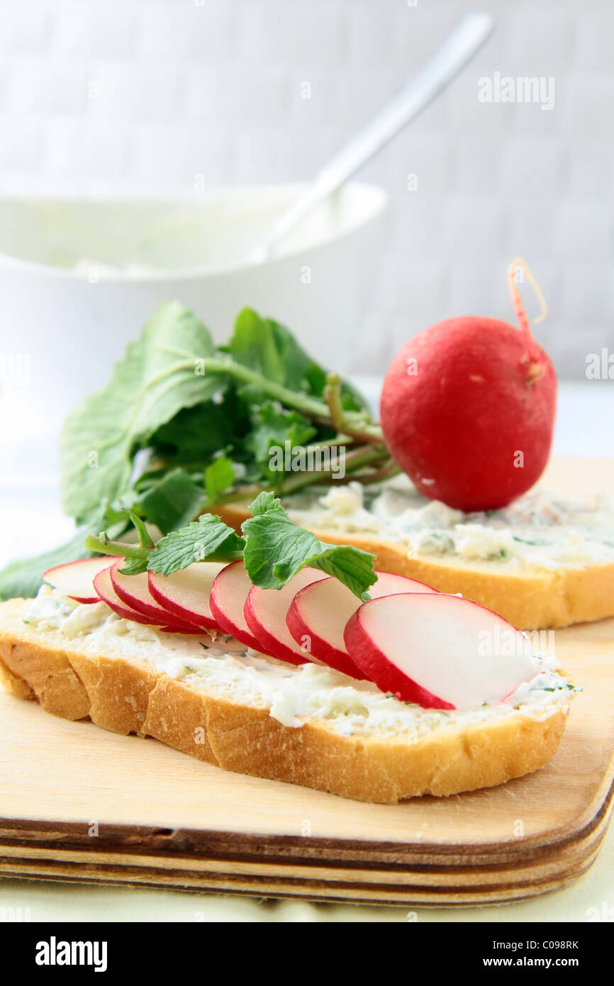 Sandwiches mit Radieschen und Hüttenkäse auf dem Brett Stockfoto