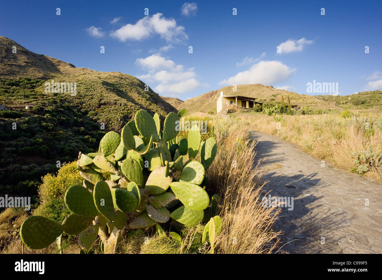 Alten Pfad im Valle del Lacci, Westküste von Lipari Island, Sizilien, Italien, Europa Stockfoto