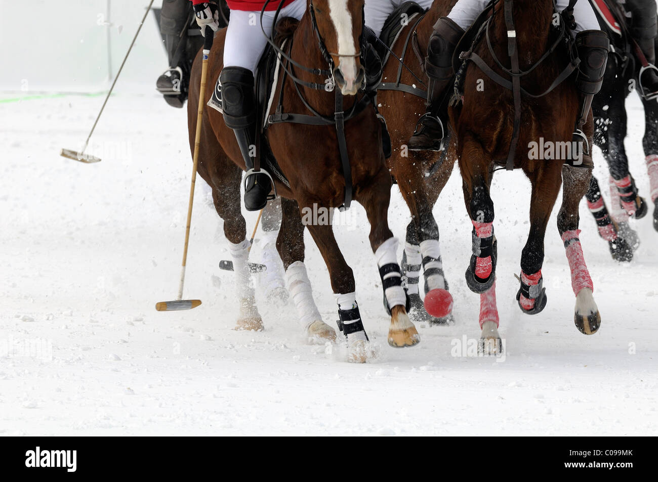 Polo-Spieler kämpfen um den Ball, Polopferde galoppieren über den Schnee, Snow Arena Polo World Cup 2010-Polo-Turnier Stockfoto