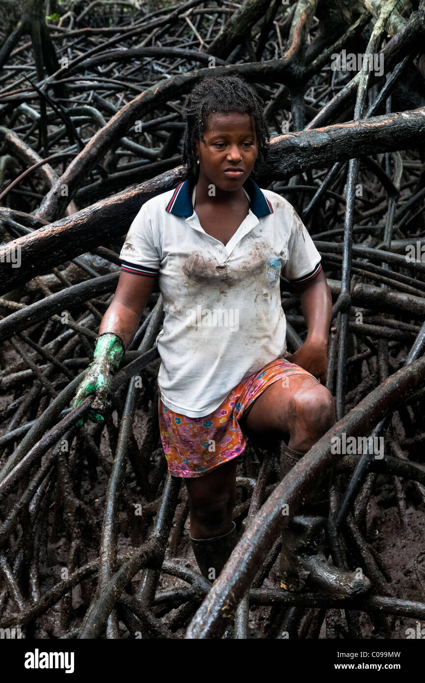 Eine kolumbianische Mädchen geht durch den dichten Labyrinth der Bäume auf der Suche nach Schalentieren in die Mangrovensümpfe in Kolumbien. Stockfoto