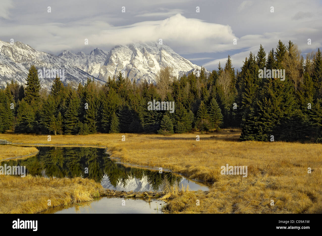 Morgen Reflexion in den Rocky Mountains Stockfoto