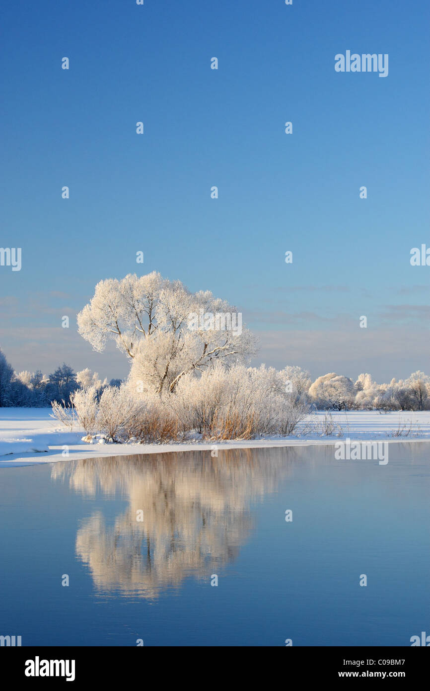 Frost bedeckt Weide am Fluss Emajõgi. Europa, Estland Stockfoto