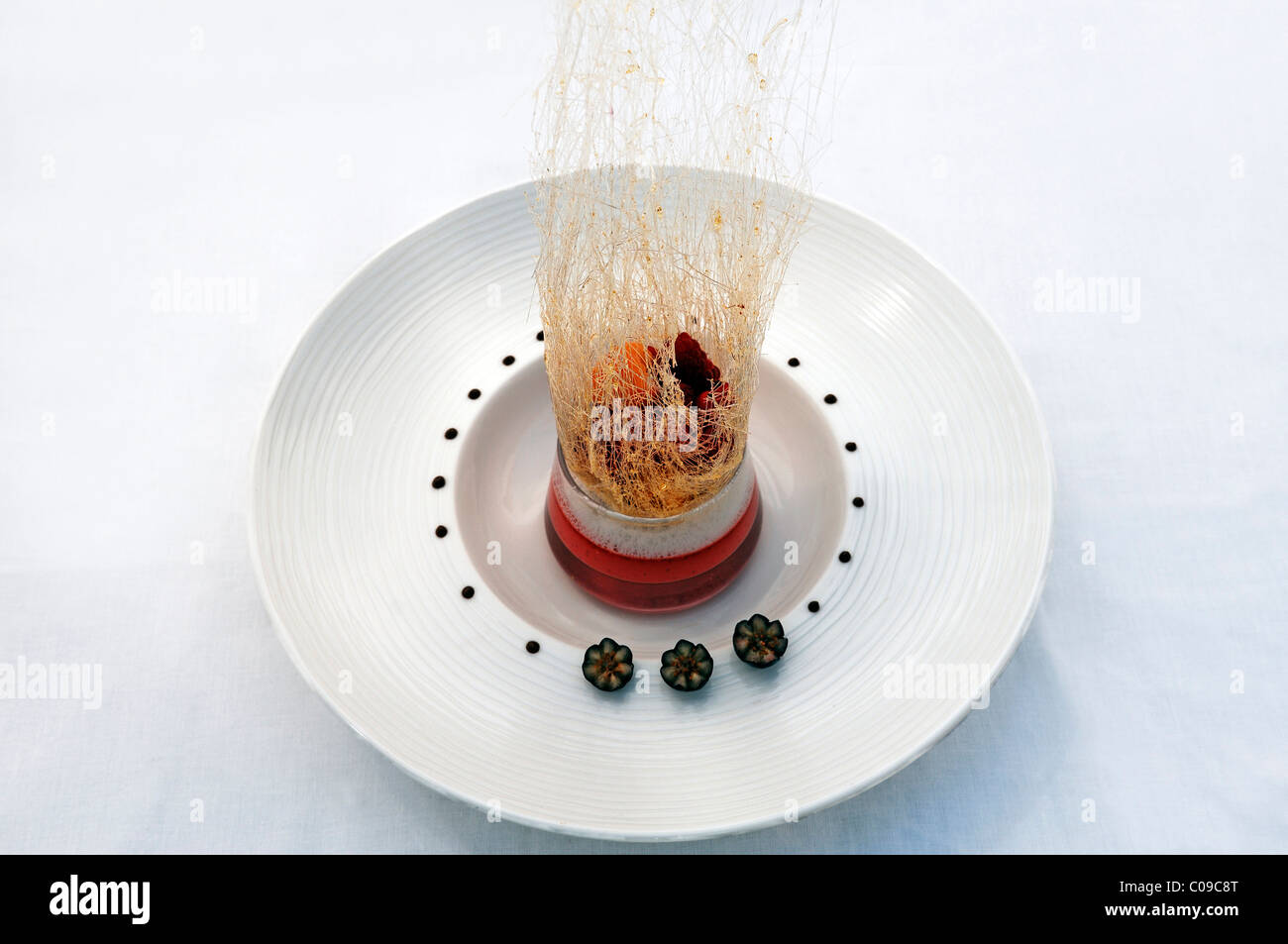 Dessert, kalte Obstsuppe in einem Zucker-Nest auf einem weißen Teller, Haute Cuisine, Auberge De La Ferme Hueb, Mike Germershausen Stockfoto