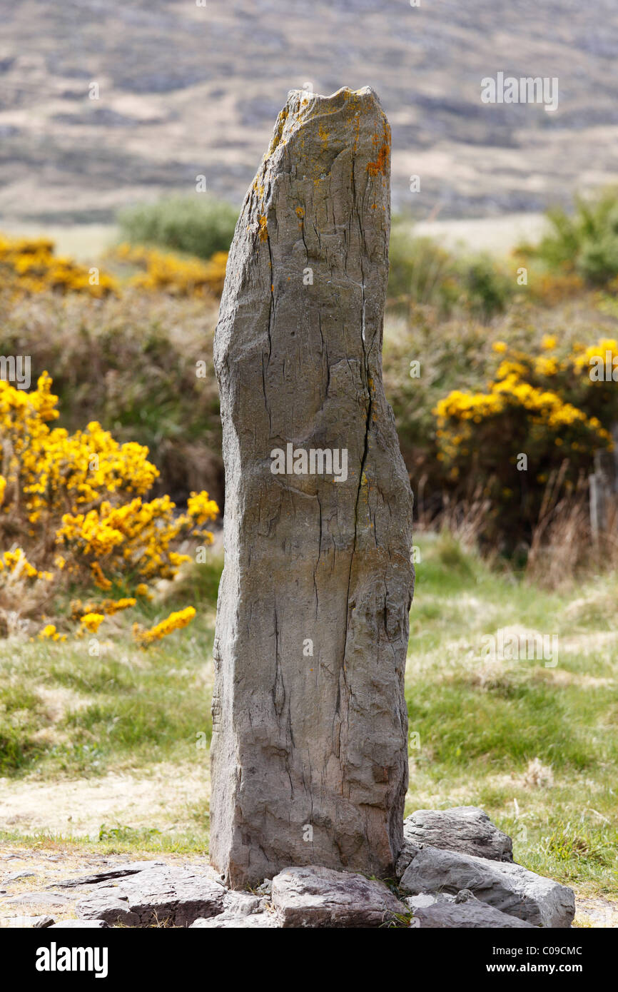 Ogham-Stein in Derrynane Nationalpark, Ring of Kerry, County Kerry, Irland, britische Inseln, Europa Stockfoto
