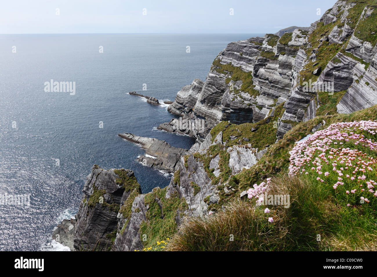 Steilküste, Skelling View Aussichtspunkt in der Nähe von Portmagee, Skellig Ring, County Kerry, Irland, britische Inseln, Europa Stockfoto