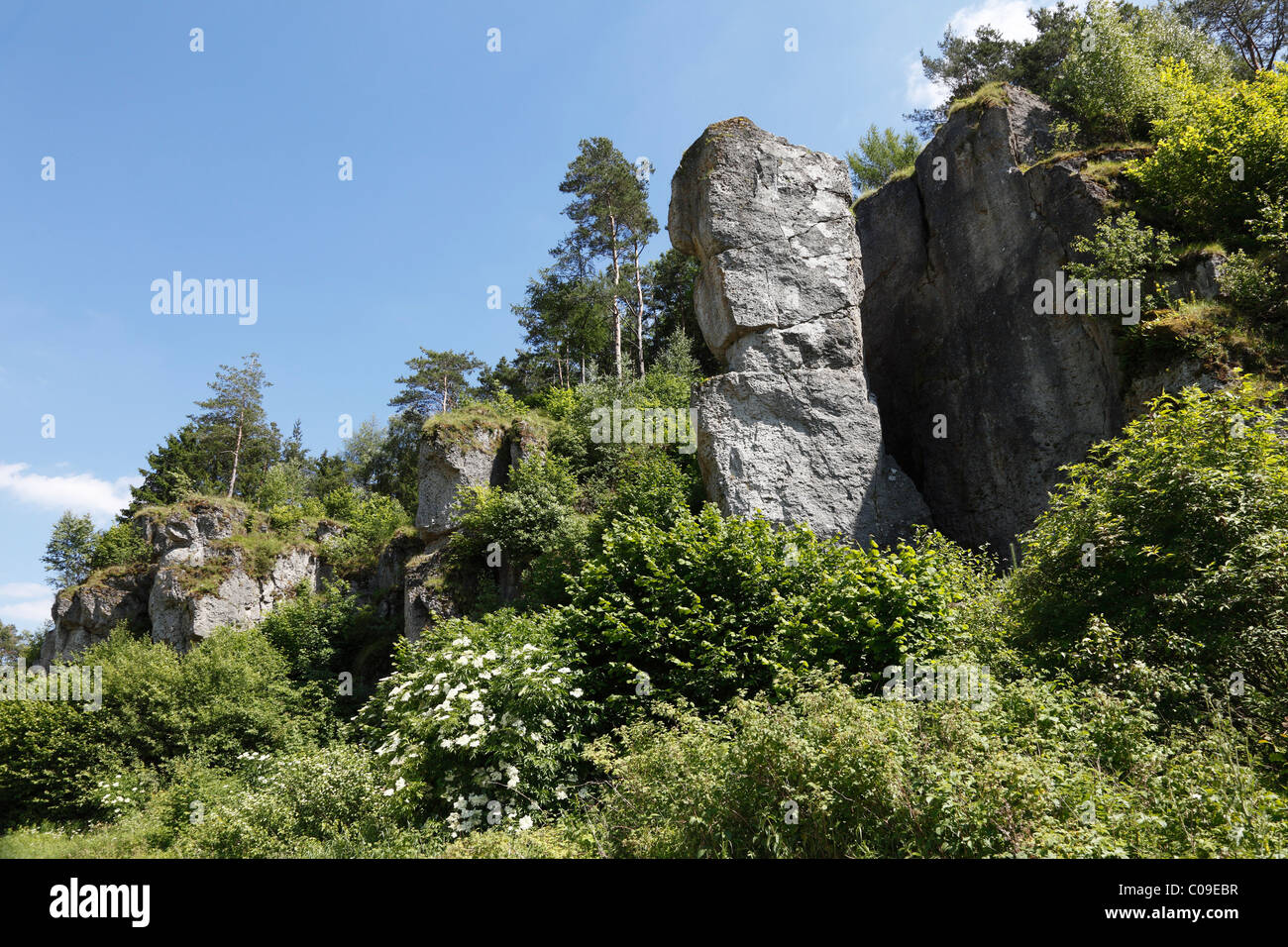 Klettern Fels Steinfelder Wand, Fränkische Schweiz, fränkische Alb, Franken Jura, Oberfranken, Franken, Bayern Stockfoto