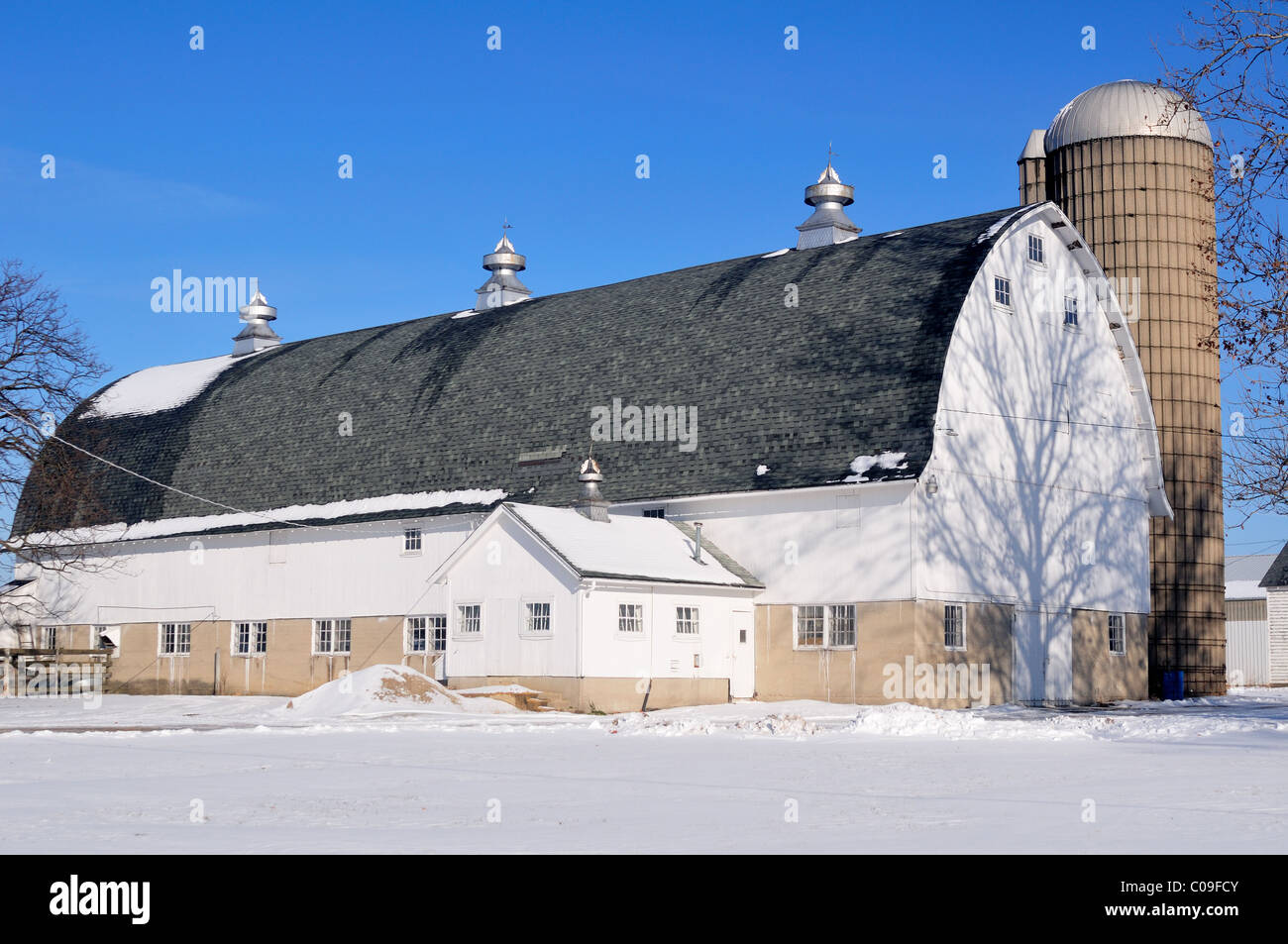 Ein großer weißer Milch Stall, der mit der Schneedecke, die die Struktur South Elgin, Illinois, USA übereinstimmt. Stockfoto