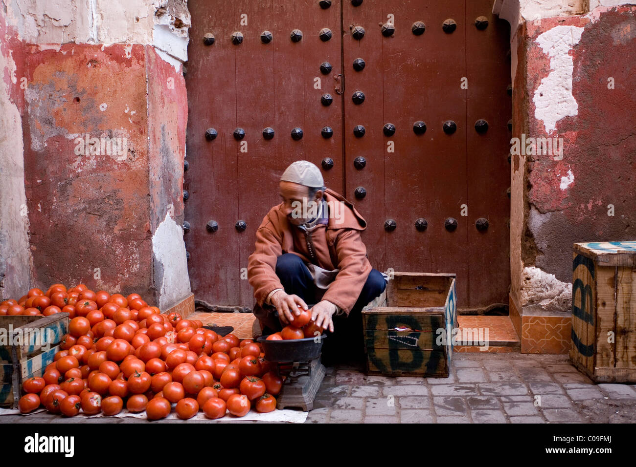 Tomaten-Hersteller in Marrekesh, Marokko Stockfoto