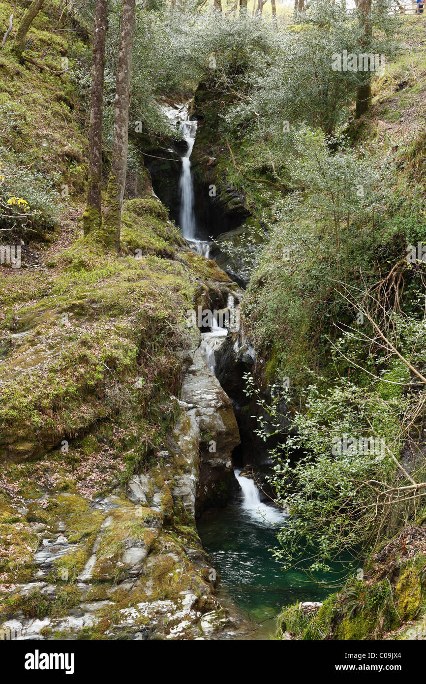 Poulanass Wasserfall, Vale of Glendalough, Wicklow Mountains, County Wicklow, Irland, britische Inseln, Europa Stockfoto