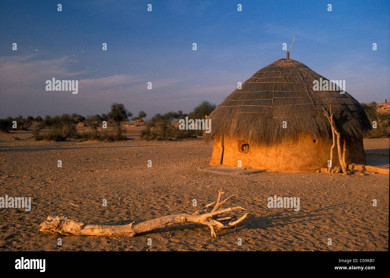 Hausgemachte von Sand und Kuhmist mit Strohdach, Thar-Wüste, Rajasthan, Indien, Asien Stockfoto